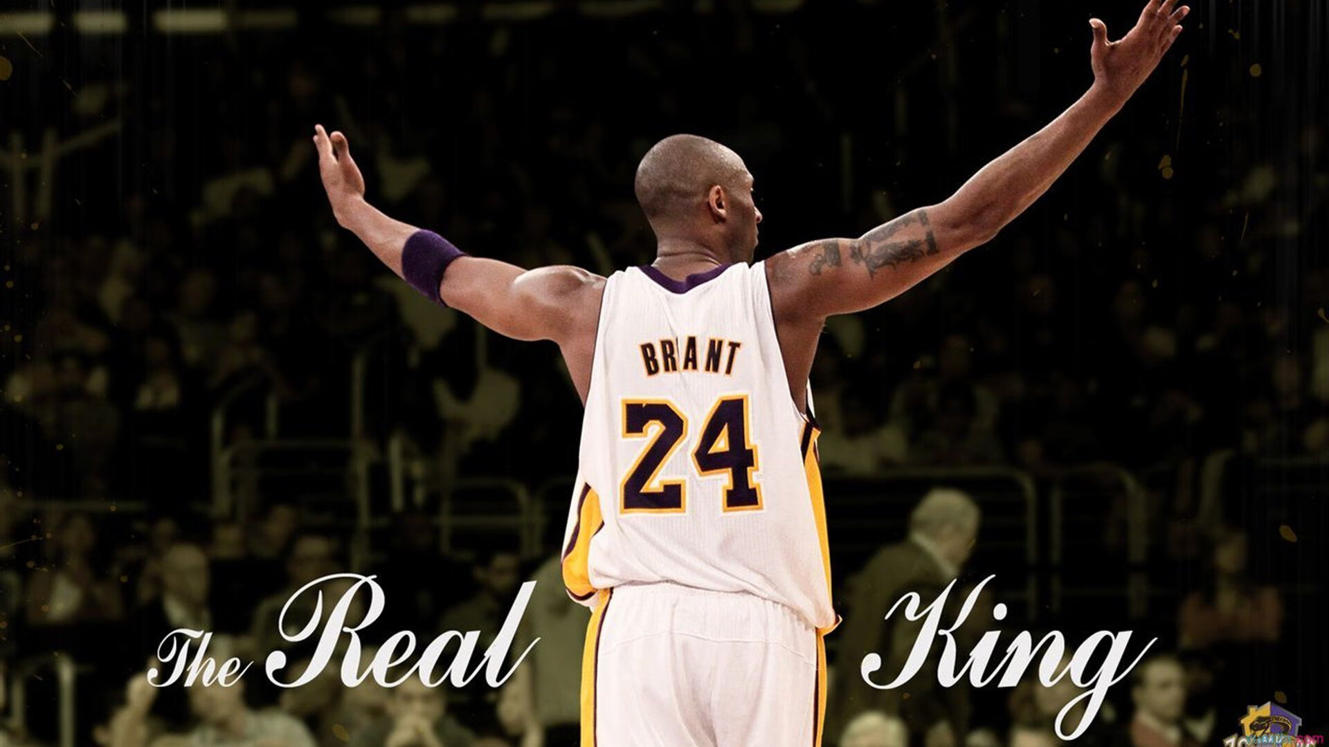 菲尔普斯重返泳坛,传奇再续还是昙花一现?